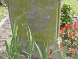 image of grave number 206359